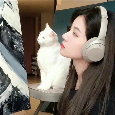 不见不散